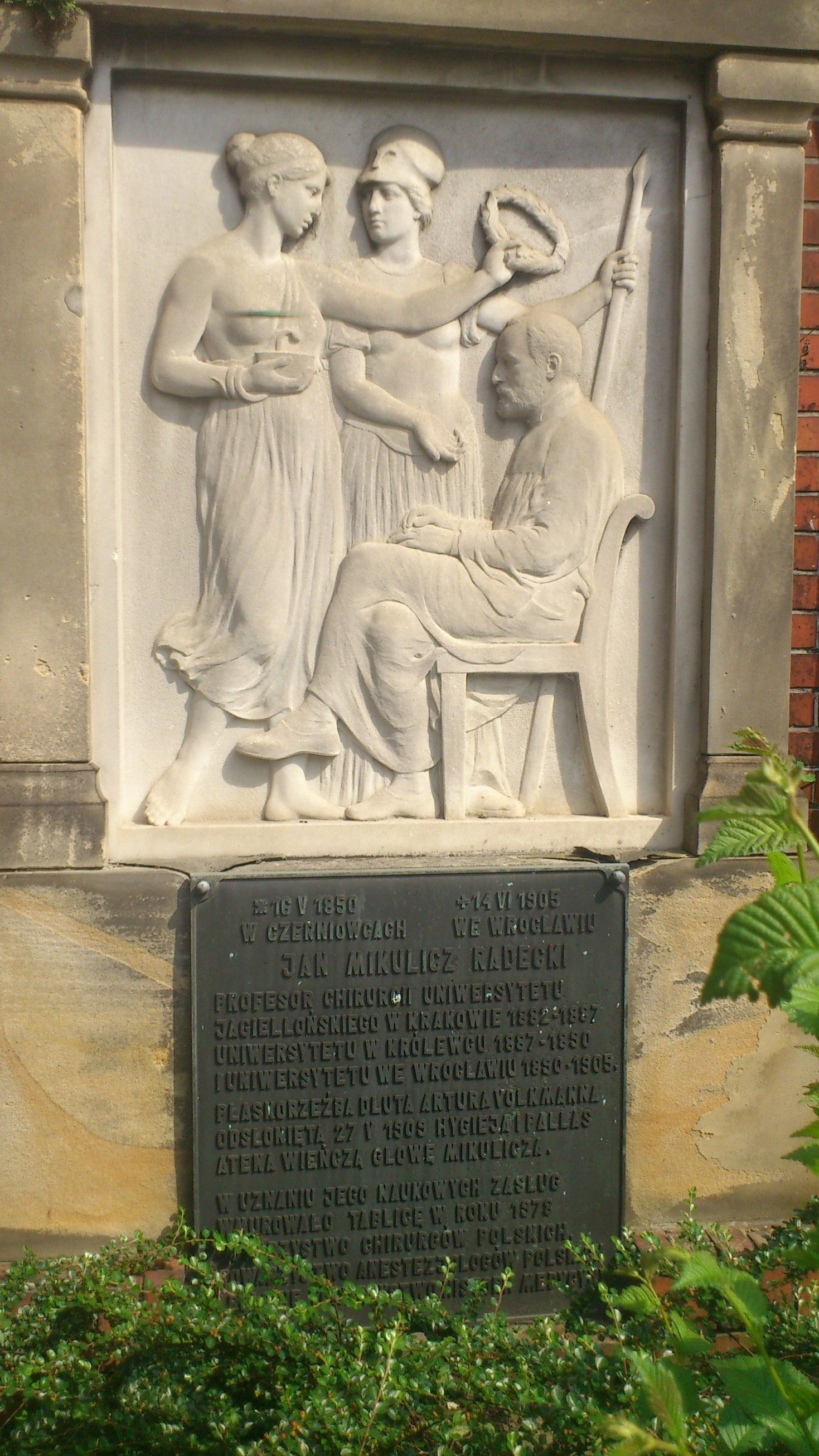 Jan Mikulicz-Radecki's monument, Wroclaw (by Magdalena Mazurak) (2).JPG